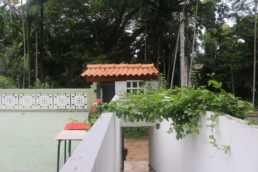 Jungle Guest House Галле Экстерьер фото