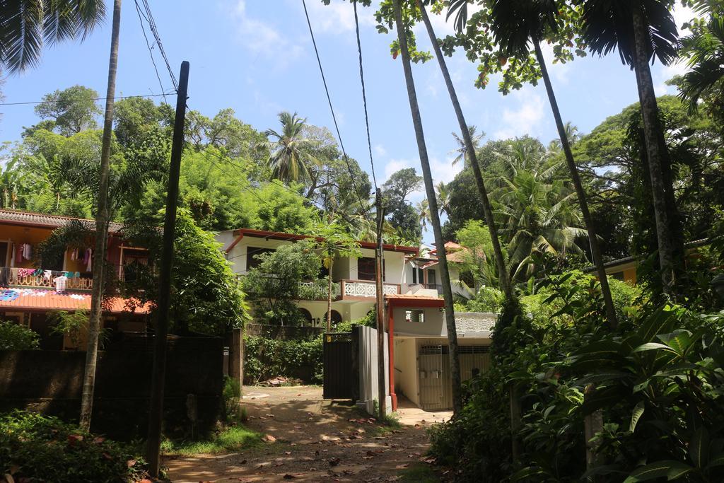 Jungle Guest House Галле Экстерьер фото