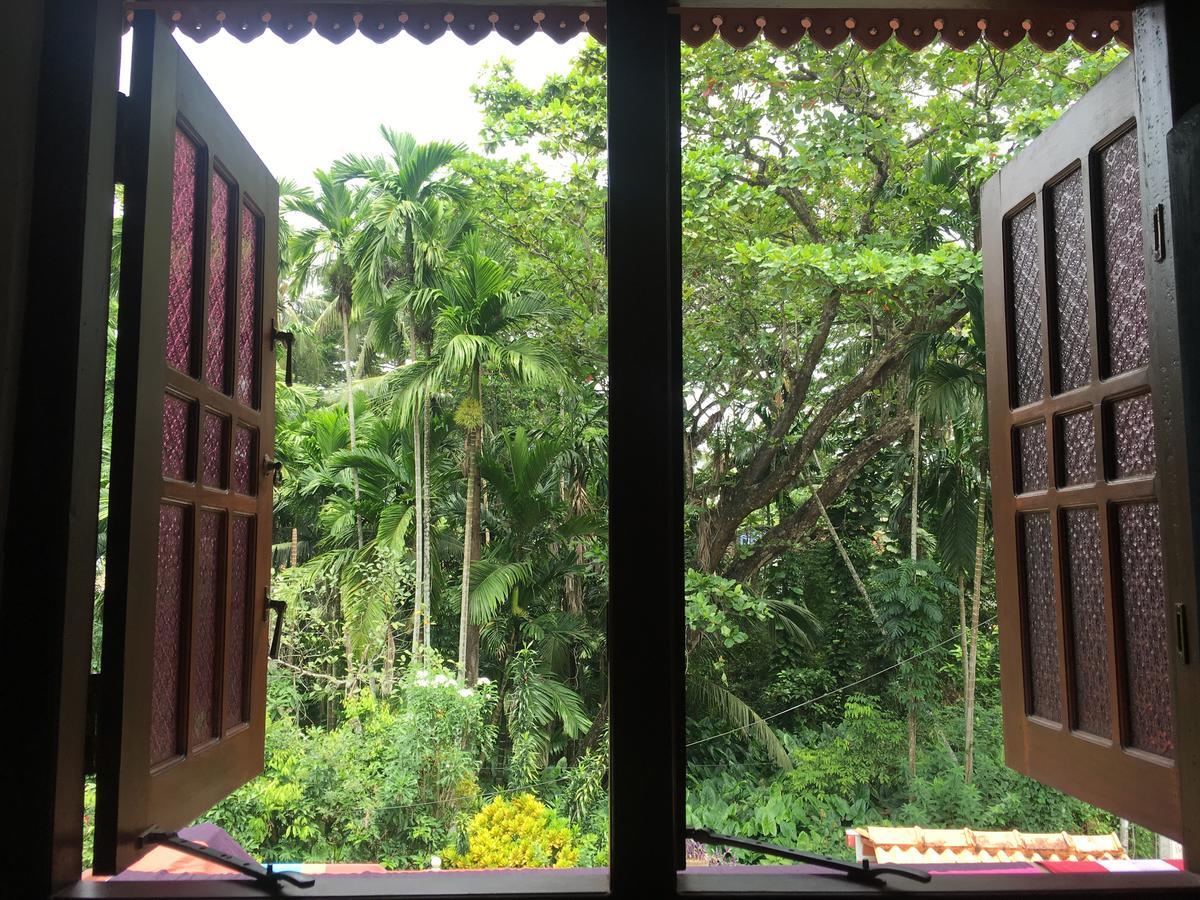 Jungle Guest House Галле Экстерьер фото